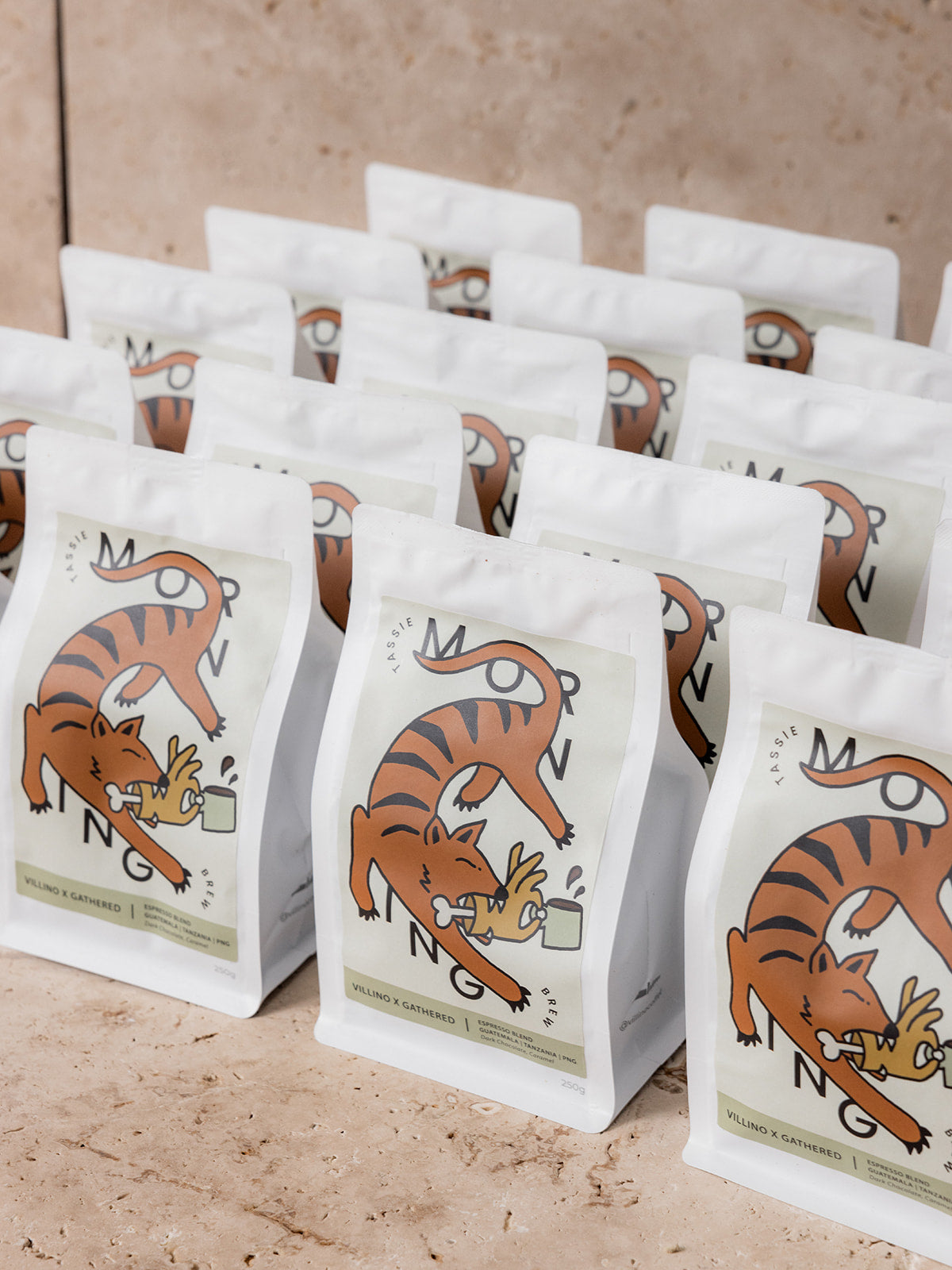VILLINO X GATHERED COFFEE BEANS